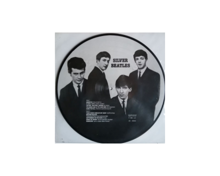 LP - Picture Disc